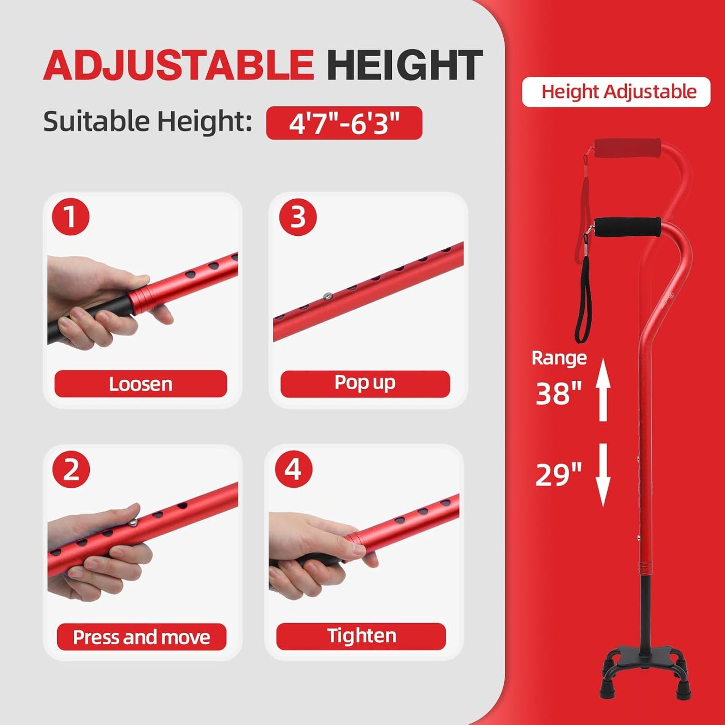 C Health Aluminum Quad Cane demonstrating adjustable height from 29 to 38 inches, with a four-step guide on how to loosen, adjust, and tighten the cane for users between 4'7" and 6'3" tall