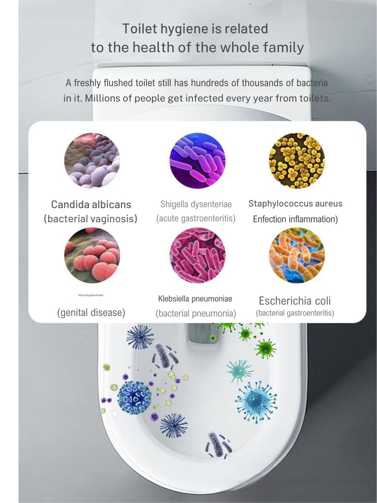DIVAS PLACE UV Toilet Sanitizer: Safe, Effective, & Chemical-Free (SG)