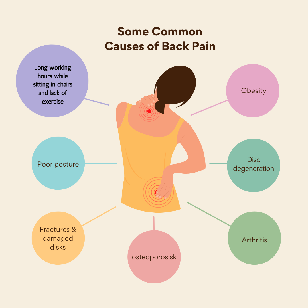 Back Pain Relief for Office Chairs: Memory Foam Seat Cushion (SG)|告别办公椅带来的背痛！ | 记忆棉坐垫，久坐不累！(新加坡)