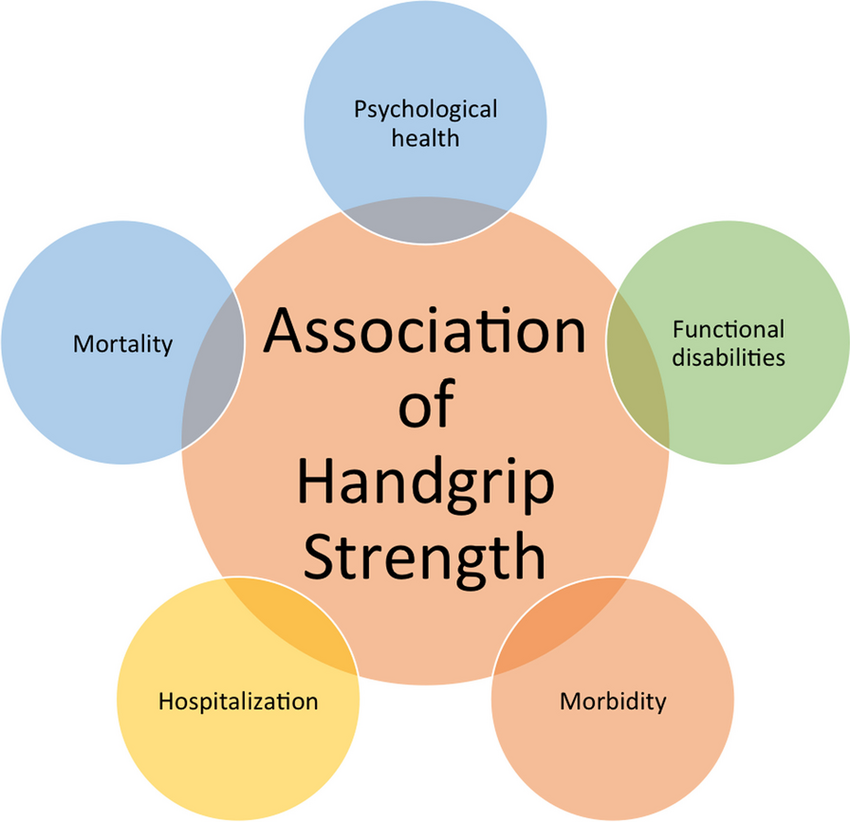 Educational diagram showing the association of handgrip strength with vital health factors including mortality, morbidity, functional disabilities, hospitalization, and psychological health
