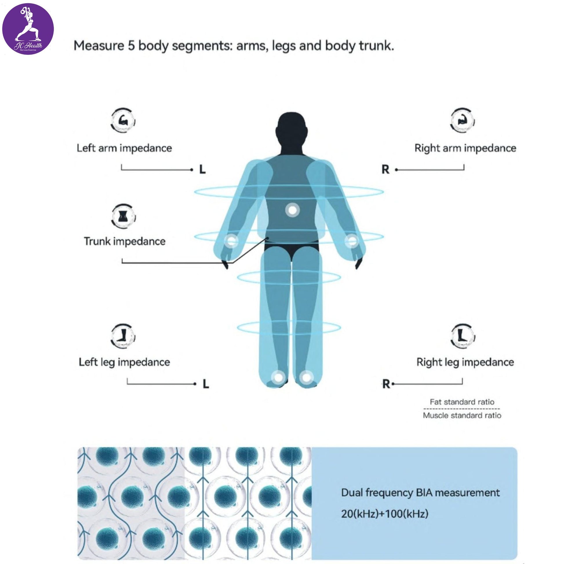 Video showcasing the JC Health Smart Body Composition Scale: highlights its 8-electrode design, 5-segment body analysis, and the process of measuring body metrics to generate comprehensive reports
